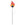 panel-simulacion-incendio-forestal-2